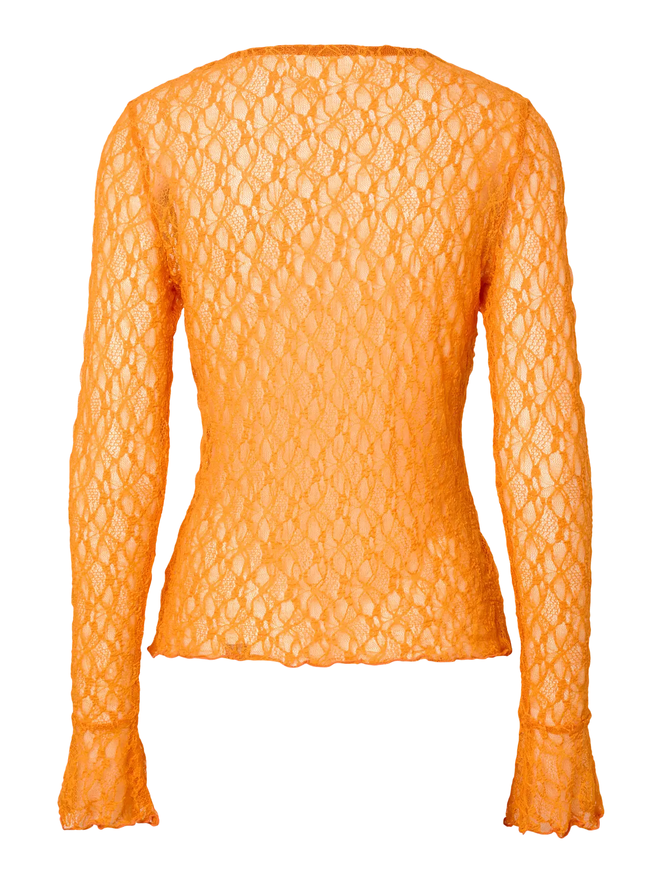 Miniatuur 5